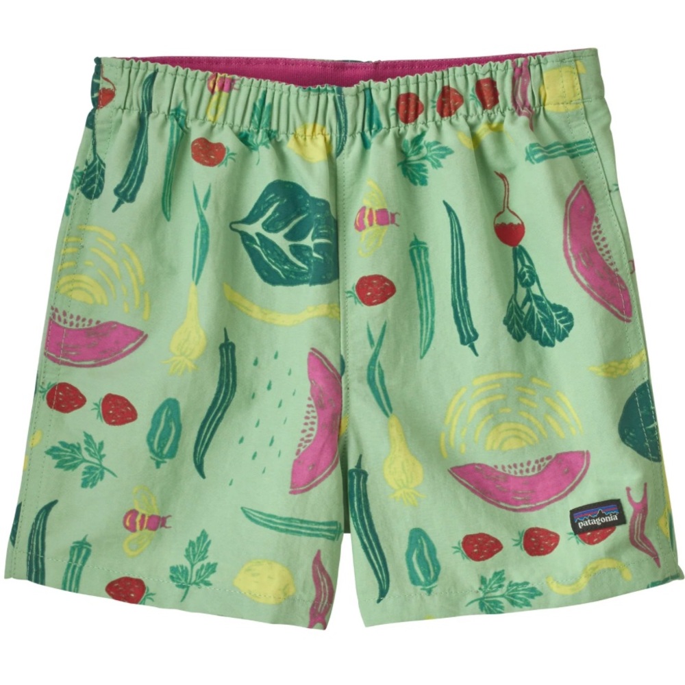 Patagonia Baggies Shorts 5T